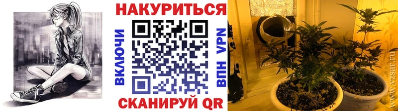 нарко площадка как зайти  Горнозаводск  МАРИХУАНА сатива 